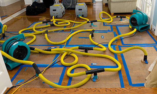 Professional Crawl Space Water Removal technician working in Huntington, MA